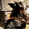 Personalized Leather Dog Collar with Painted Letters