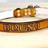 Leather Dog Collar with Name