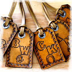 Signature Collection