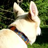 Personalized Painted Leather Dog Collar