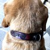 celtic-leather-dog-collar-the-leather-smithy_6