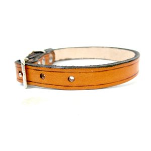 Small Dog or Puppy Leather Collar