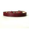 small-dog-puppy-leather-collar-the-leather-smithy_3