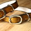 tan-leather-dog-collar-the-leather-smithy_3