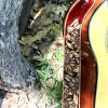 Sunflower Acoustic Guitar Strap