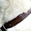 western-dog-collar-leather-the-leather-smithy_1WEB