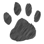 PawPrint300X300