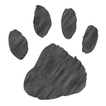 PawPrint300X300